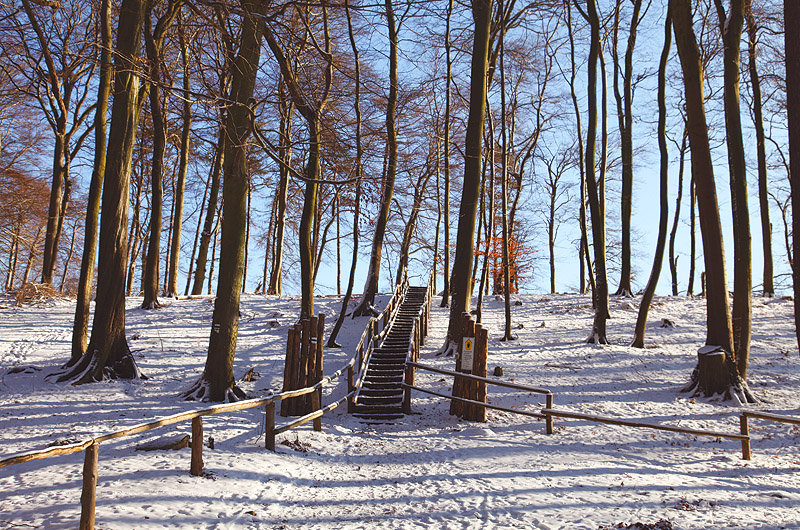 zur Übersicht Winter 4