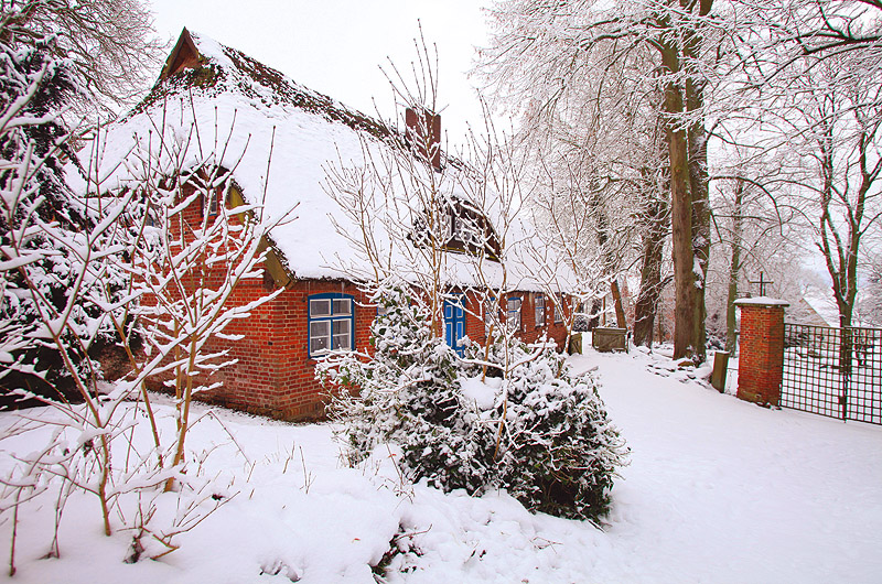 zur Übersicht Winter 4