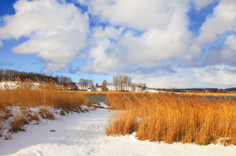 zur Übersicht Winter 4