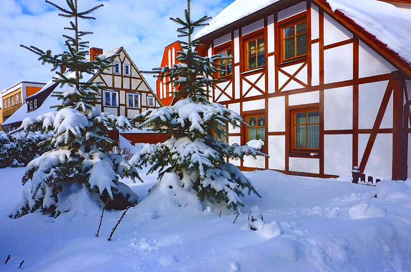 zur Übersicht Winter 4