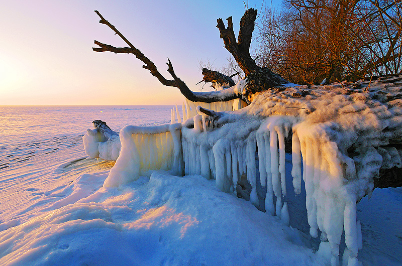 zur Übersicht Winter 5