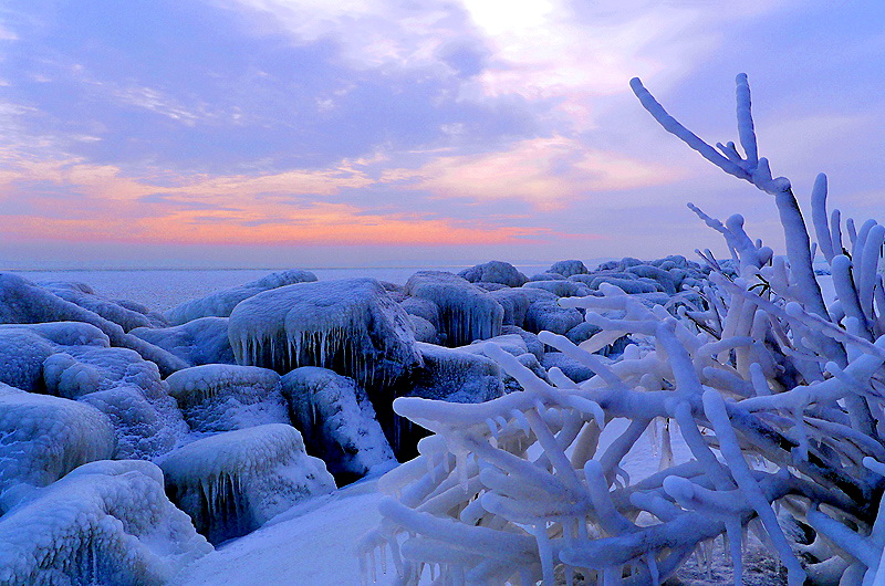 zur Übersicht Winter 6