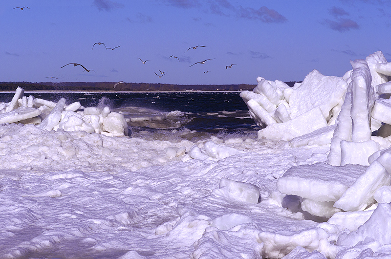 zur Übersicht Winter 6