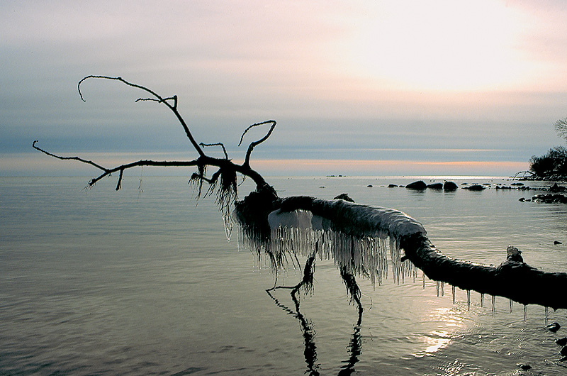 zur Übersicht Winter 7