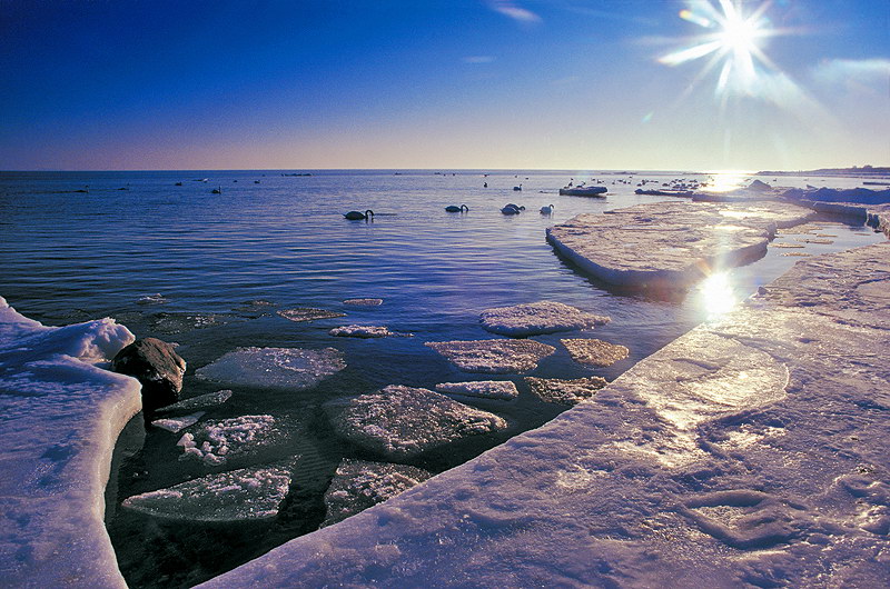 zur Übersicht Winter 7