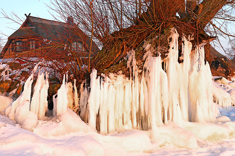 zur Übersicht Winter 8