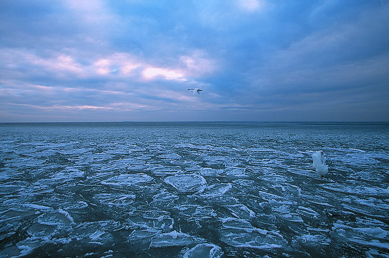 zur Übersicht Winter 8