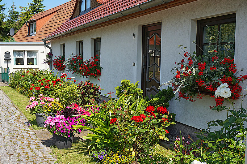 zur Übersicht Wittow 1