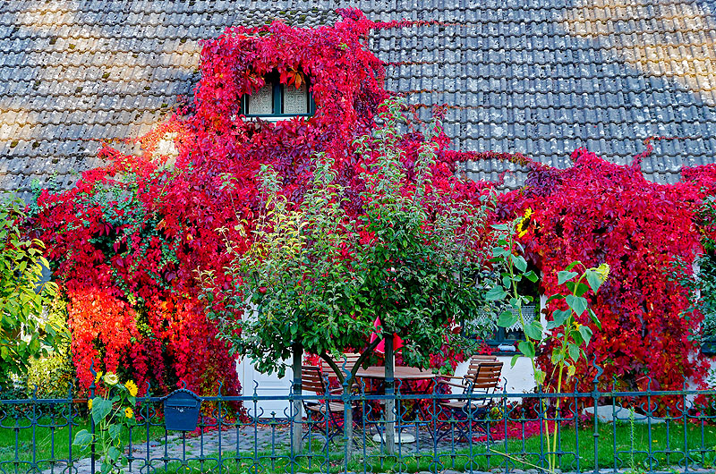 zur Übersicht Wittow 3