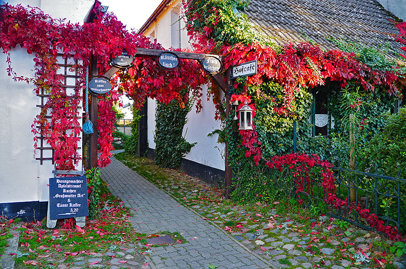 zur Übersicht Wittow 3