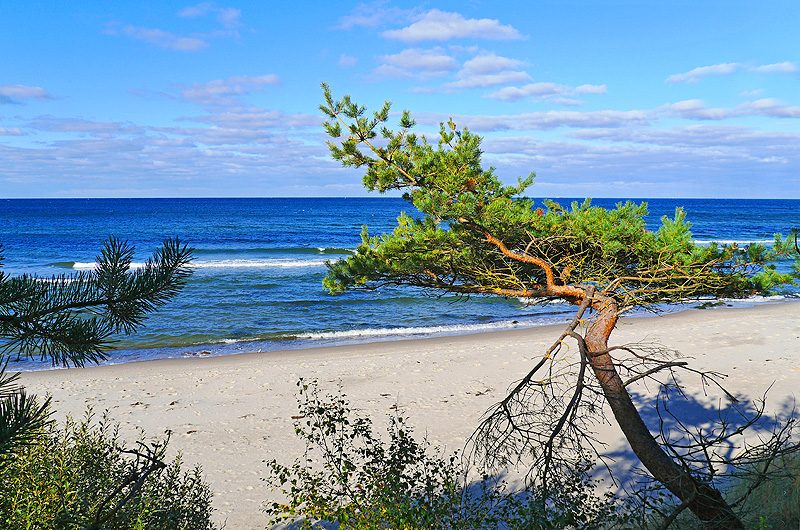 zur Übersicht Wittow 4