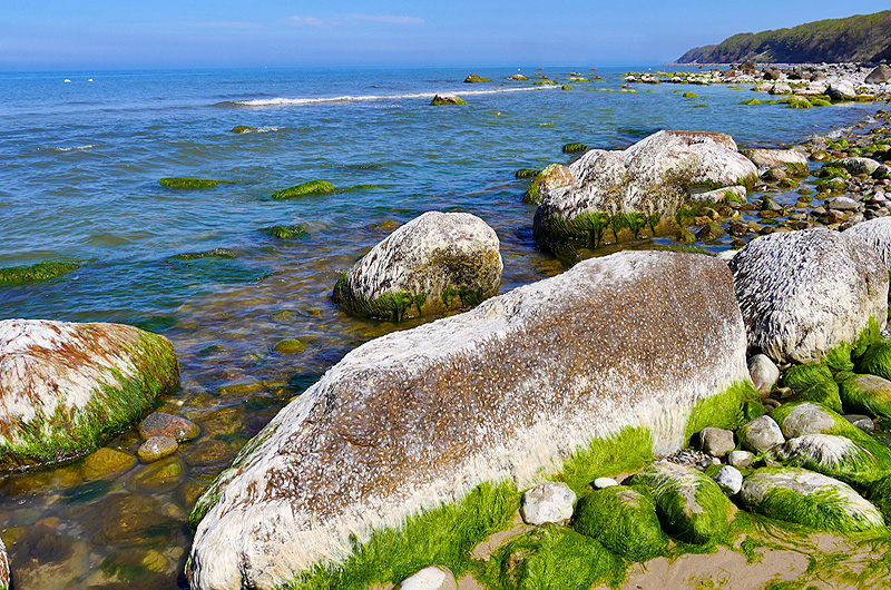 zur Übersicht Wittow 4