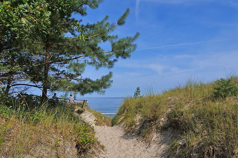 zur Übersicht Wittow 4