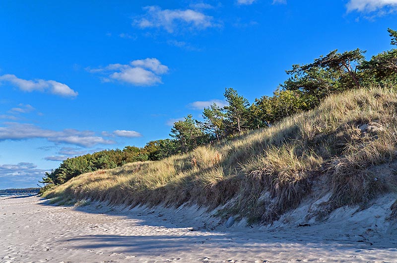 zur Übersicht Wittow 4