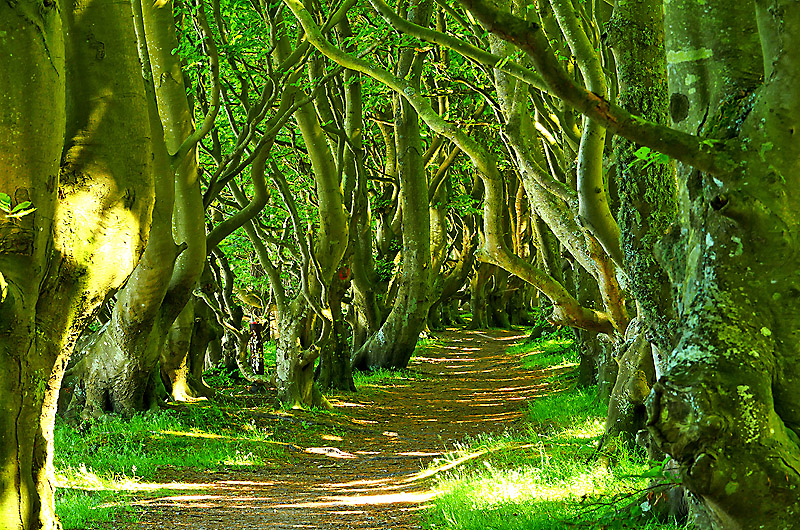 zur Übersicht Wittow 5