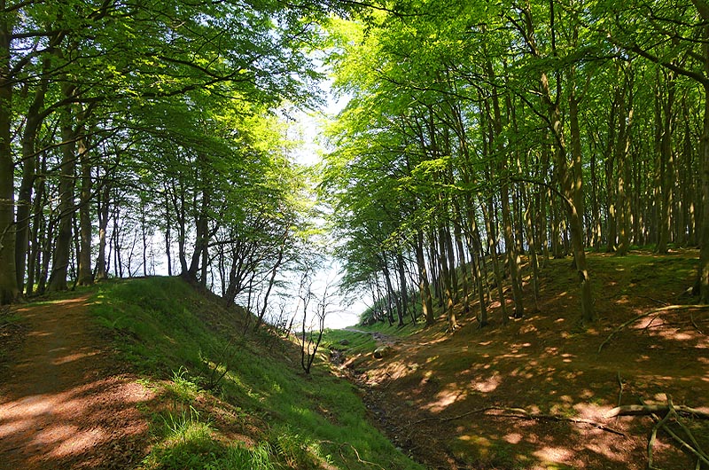 zur Übersicht Wittow 5