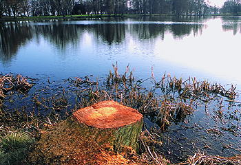 Schlossteich im Putbusser Park